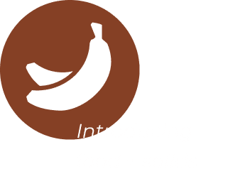 Introducing food and solids