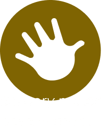 Sensory motor development