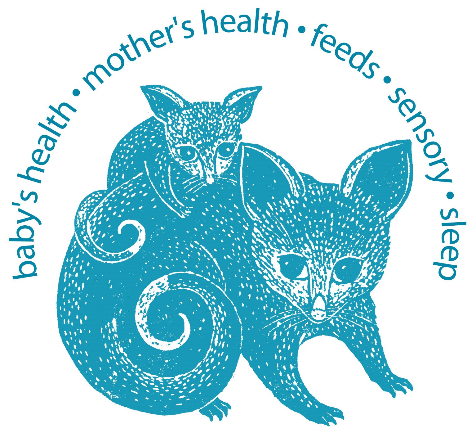 The Possums 5-domain approach to helping a baby who cries alot in the first few months of life