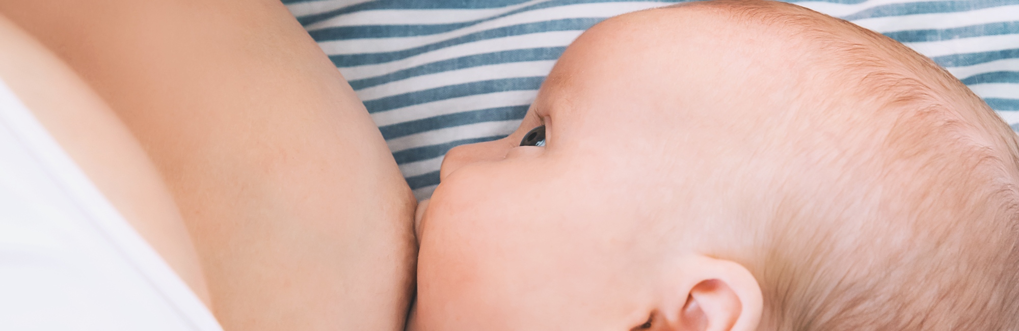 breastfeeding; herpes simplex virus; herpes zoster; lactation