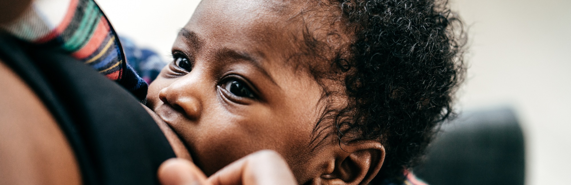 lactation; breastfeeding; baby breastfeeds; mammary immune system