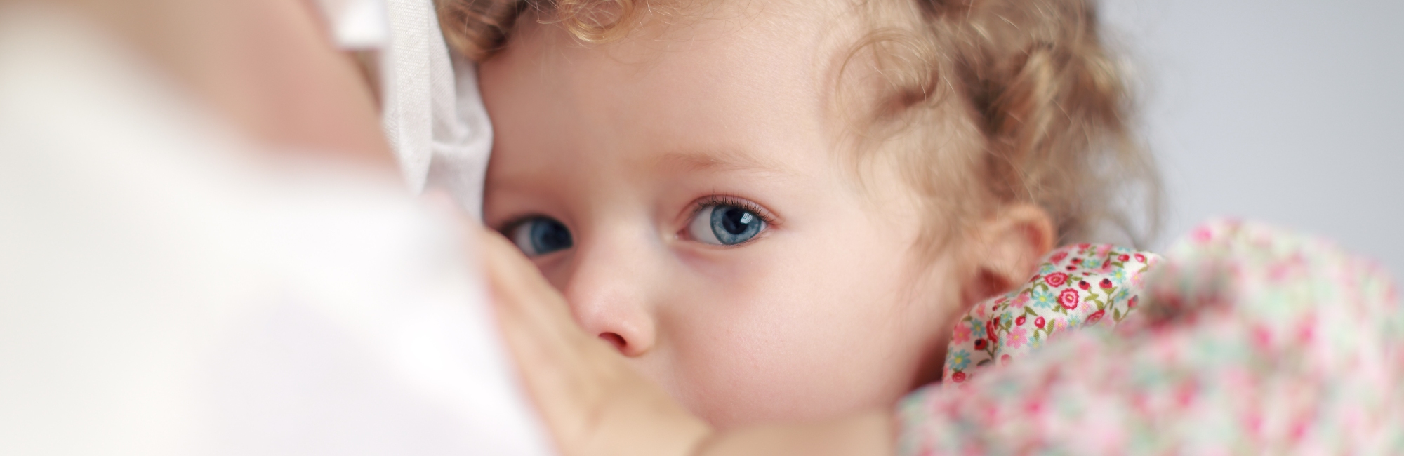 blue eyed toddler breastfeeds
