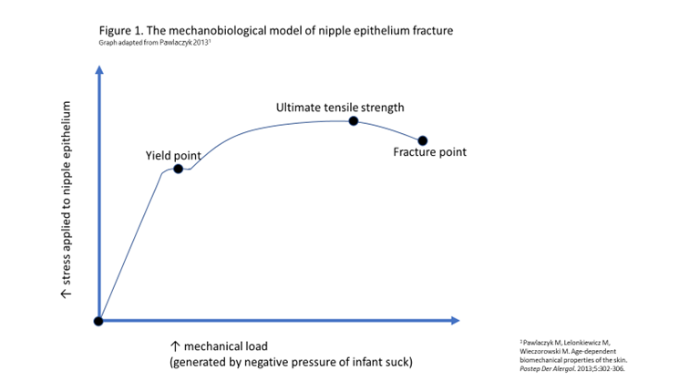 nipple crack; lactation; breastfeeding; nipple pain; nipple wound; nipple ulcer